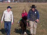 small girl riding a cow